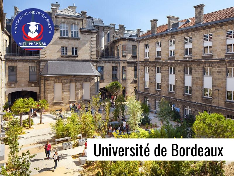 Top 4 ngành kinh tế quốc tế trường Bordeaux