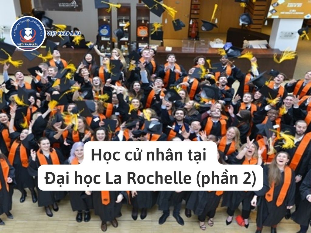 Học cử nhân tại Đại học La Rochelle (phần 2)