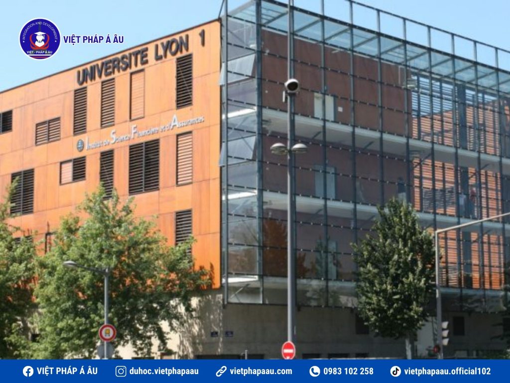 UNIVERSITÉ DE LYON 1 – POLYTECH LYON