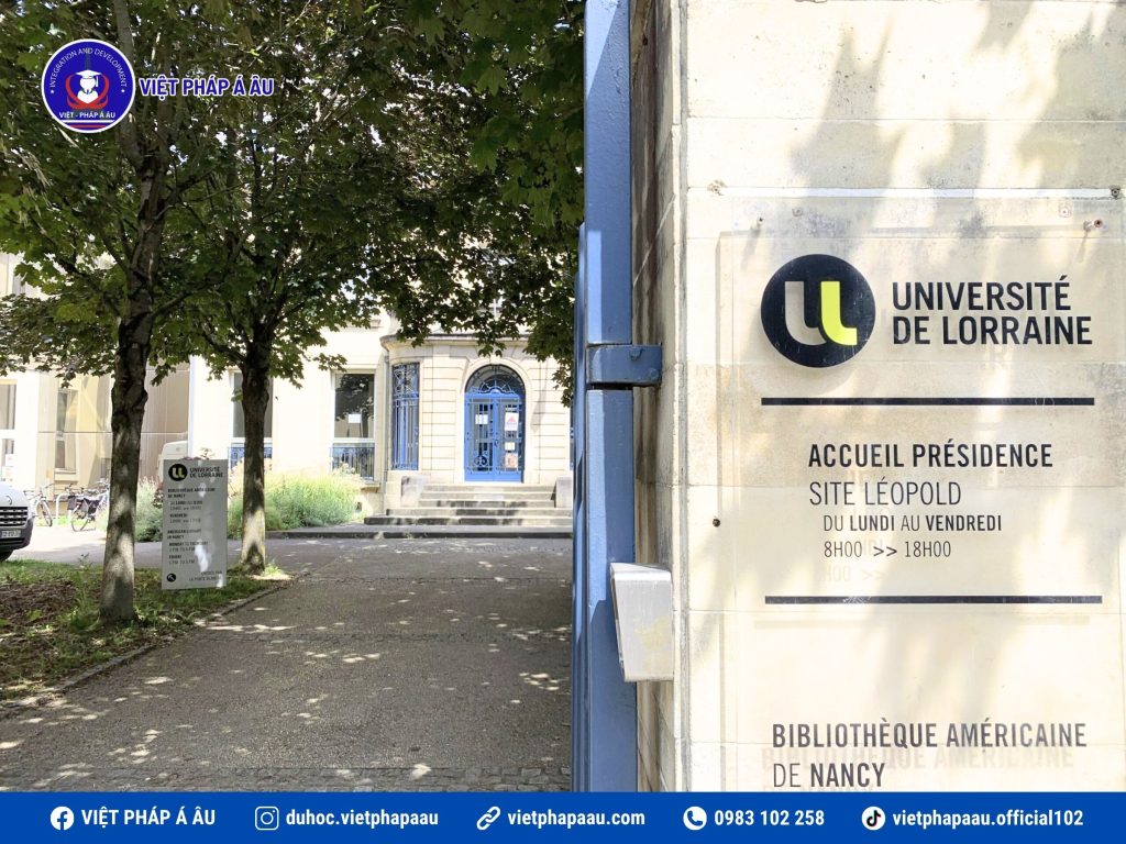 UNIVERSITÉ DE LORRAINE – FACULTÉ DE MÉDECINE