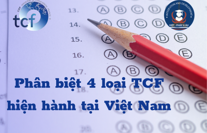 Phân biệt 4 loại chứng chỉ TCF