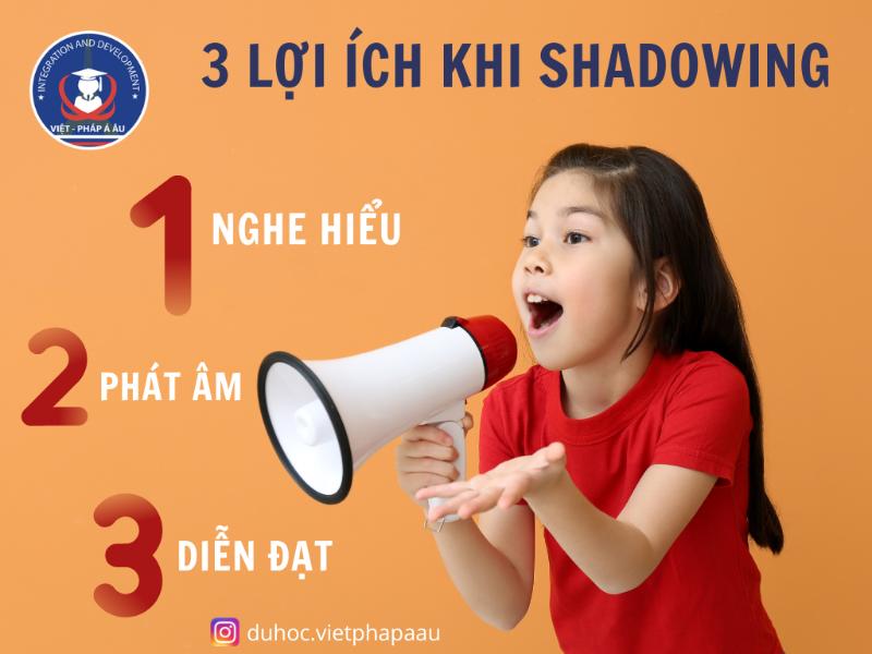 phương pháp shadowing có hiệu quả không