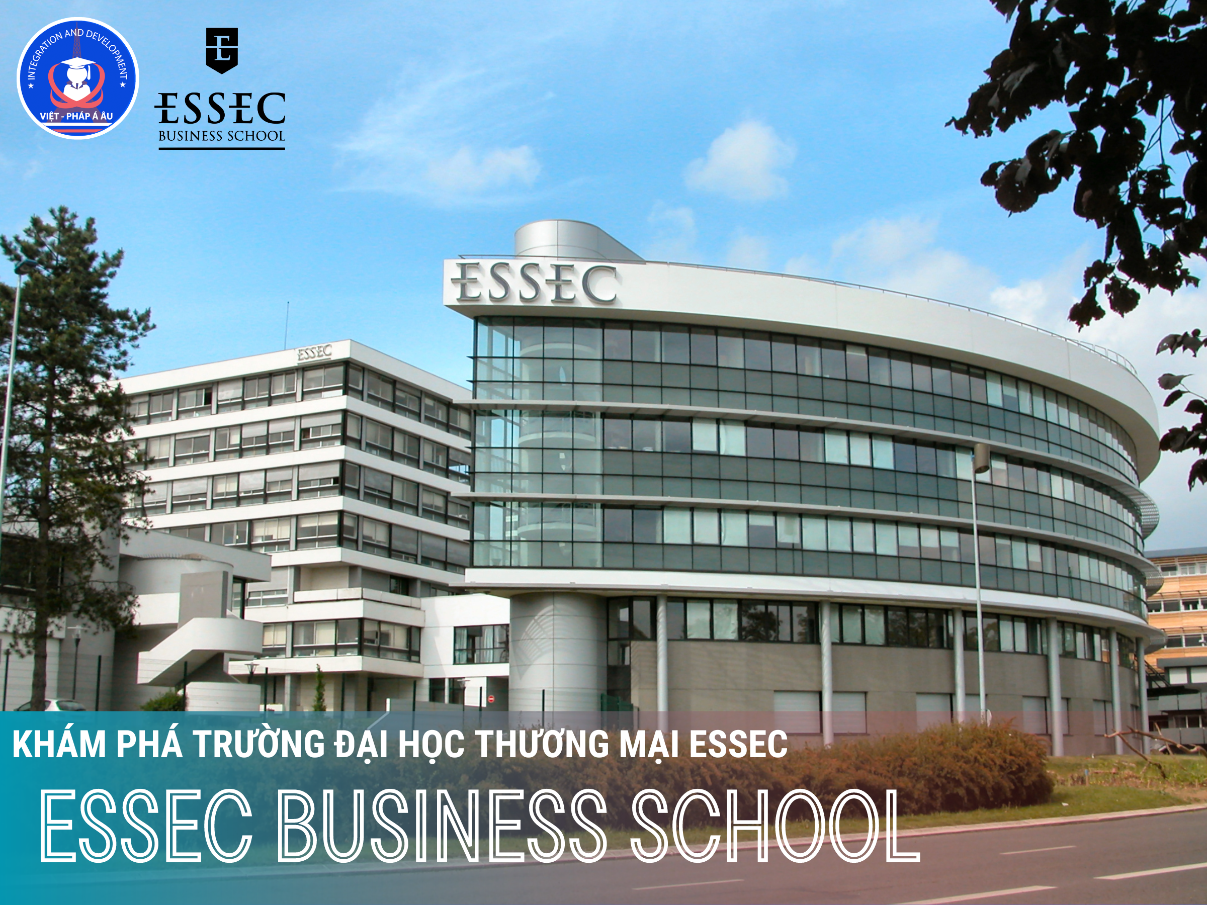 _ESSEC BUSINESS SCHOOL