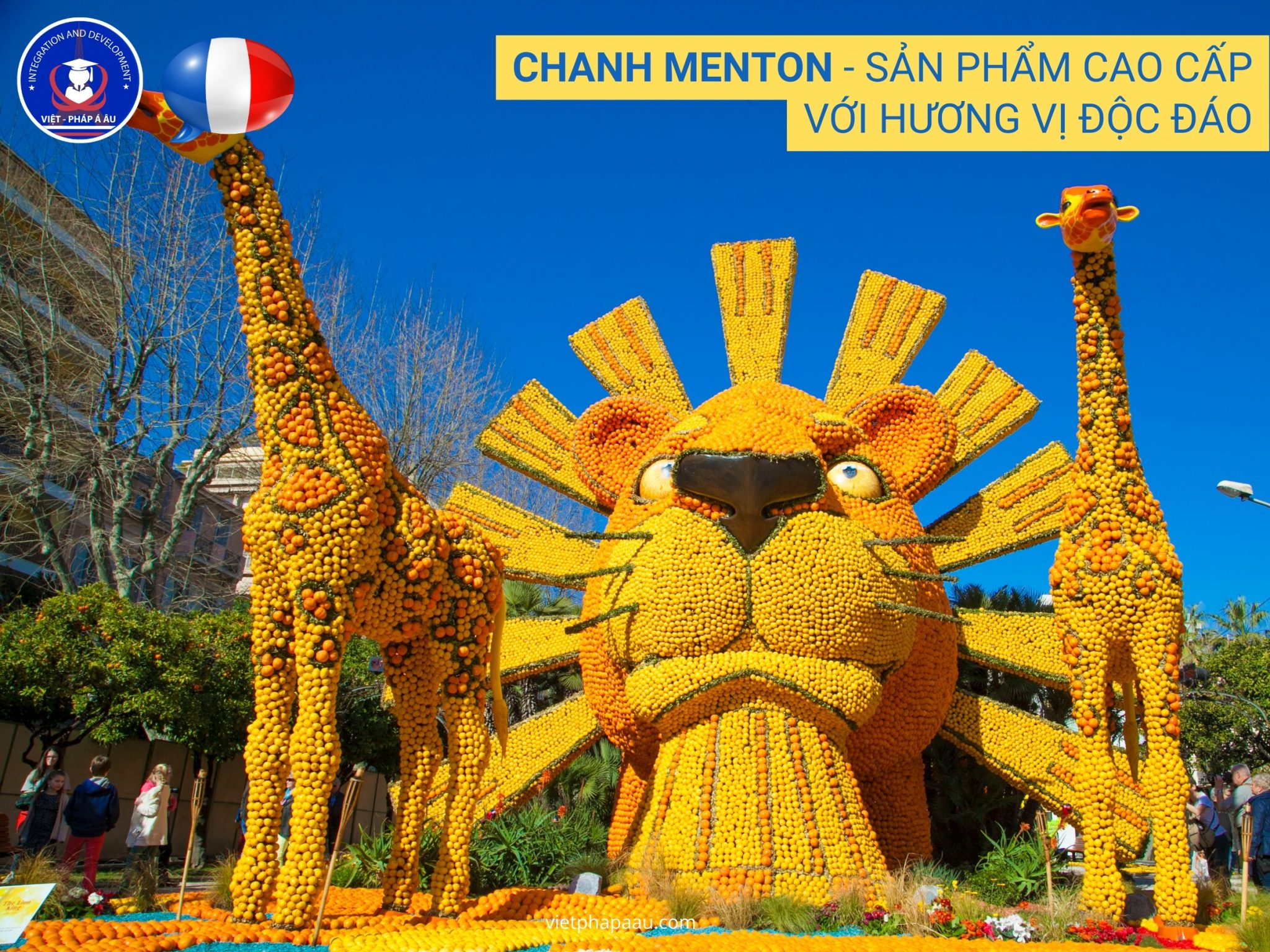 TÌM HIỂU LỄ HỘI CHANH TẠI MENTON - PHÁP