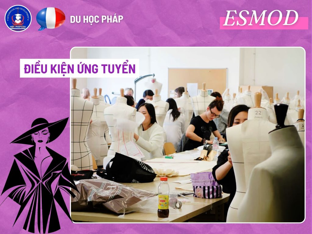 ĐIỀU KIỆN ỨNG TUYỂN TRƯỜNG ESMOD