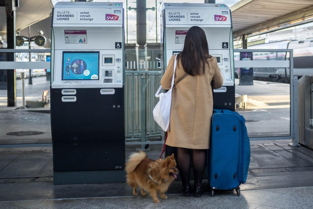 TGV animauxTGV animaux