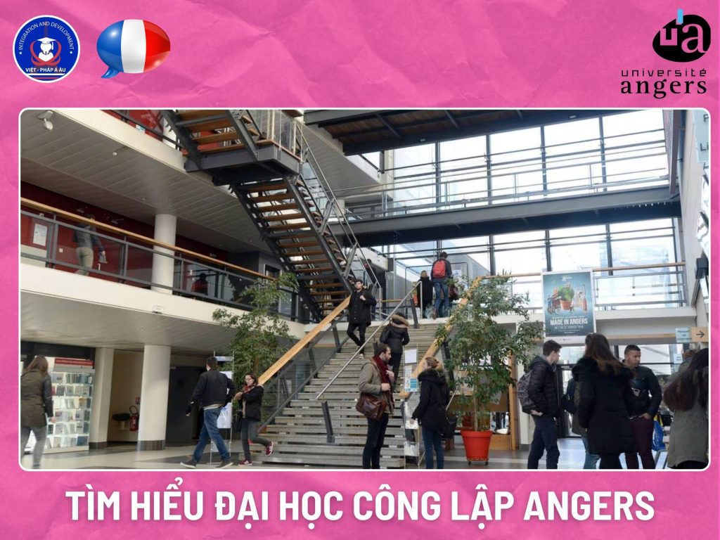 TÌM HIỂU ĐẠI HỌC CÔNG LẬP ANGERS