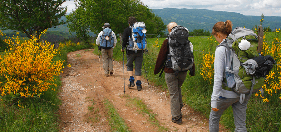 chemin SAINT-JACQUES-DE-COMPOSTELLE.png