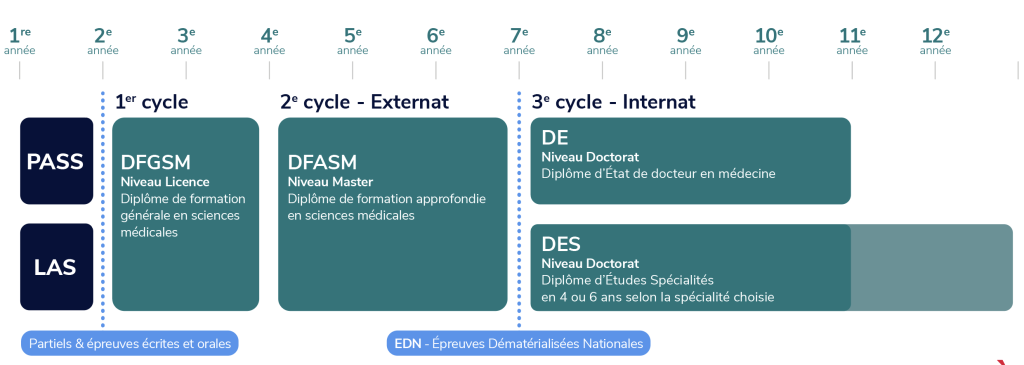 Les études de santé en France