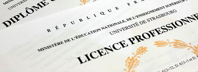 Licence professionnelle