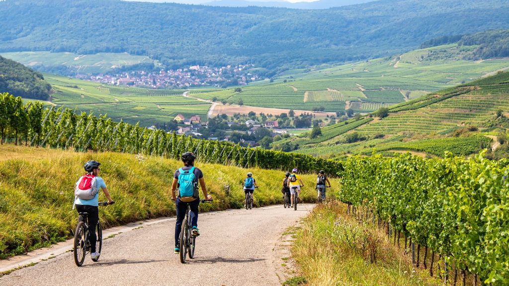 route de vin alsace