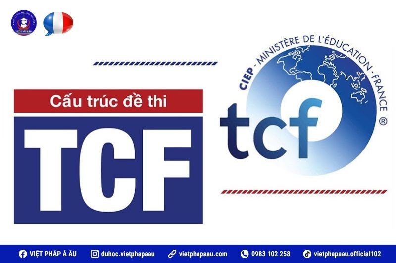 Cấu trúc đề thi TCF