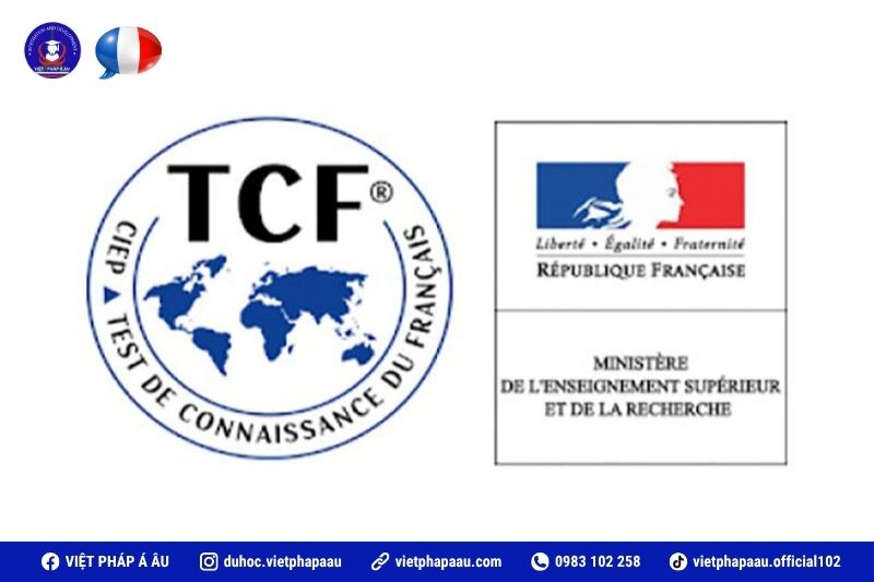 Giới thiệu TCF