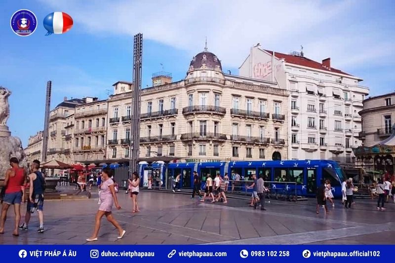 Từ vựng chủ đề người tham gia du lịch trong lĩnh vực du lịch
