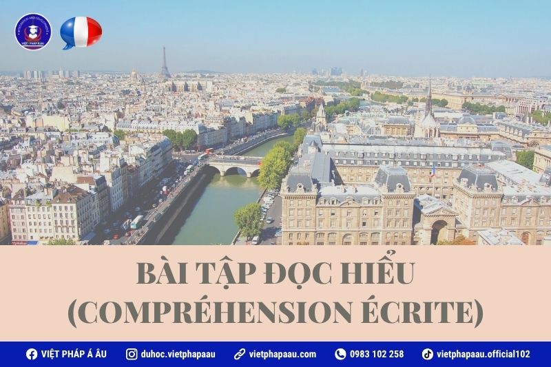Bài tập đọc hiểu