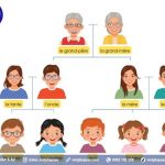 Từ vựng tiếng Pháp về gia đình