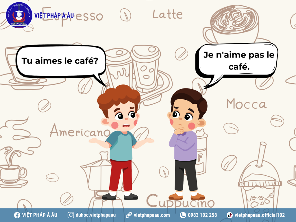 Ví dụ khi sử dụng câu phủ định cấu trúc NE…PAS