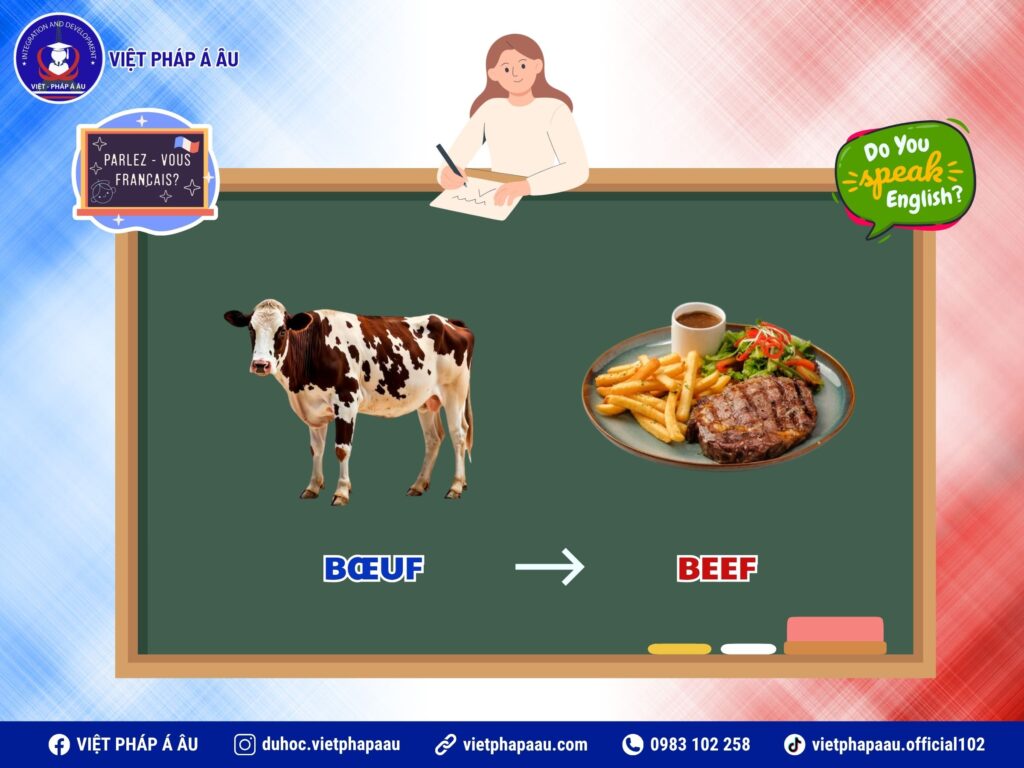 những từ tiếng pháp giống tiếng anh